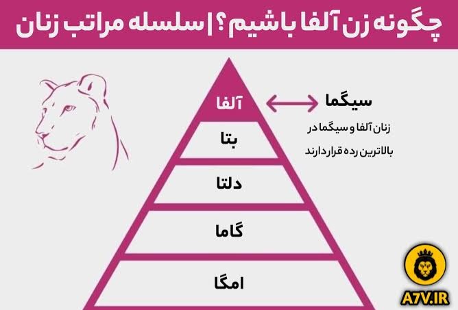 زنان امگا متولد چه ماهی هستند